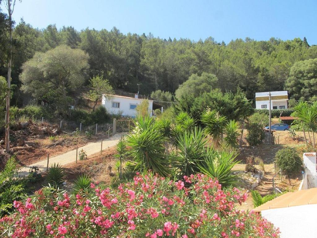 Casa Do Avo Teixeira Villa Sesimbra Eksteriør bilde